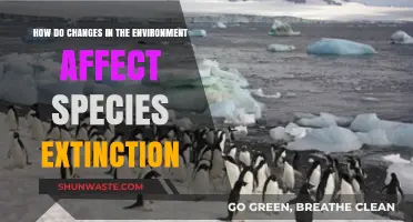 Environmental Shifts and Their Impact on Species Extinction Rates