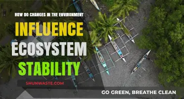 Environmental Shifts: Impact on Ecosystem Resilience and Stability Explained