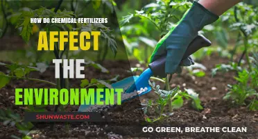 Chemical Fertilizers' Environmental Impact: Pollution, Soil Health, and Ecosystem Disruption