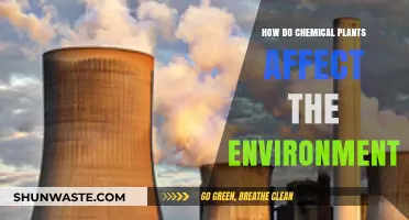 Chemical Plants' Environmental Impact: Pollution, Ecosystems, and Sustainability Challenges