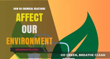 Chemical Reactions: Unveiling Their Impact on Our Fragile Environment