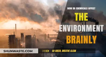 Chemical Impact on Environment: Understanding Brainly's Ecological Consequences