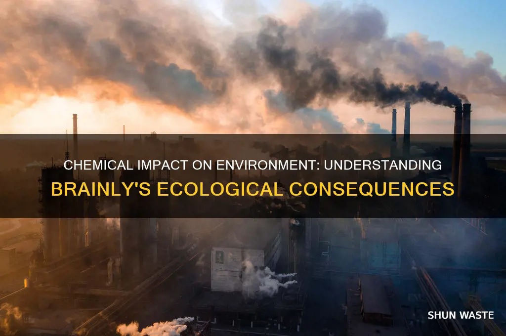 how do chemicals affect the environment brainly
