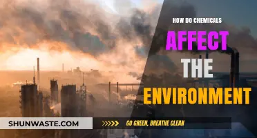 Chemical Impact: Unveiling Environmental Consequences and Sustainable Solutions