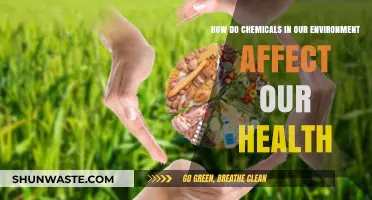 Environmental Chemicals: Unseen Health Impacts and How They Shape Our Well-Being