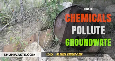 Chemicals' Journey: Polluting Our Groundwater
