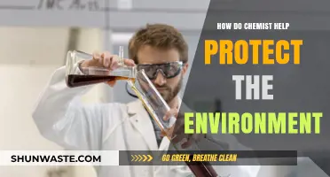 Chemists' Role in Safeguarding Our Planet: Environmental Solutions and Innovations