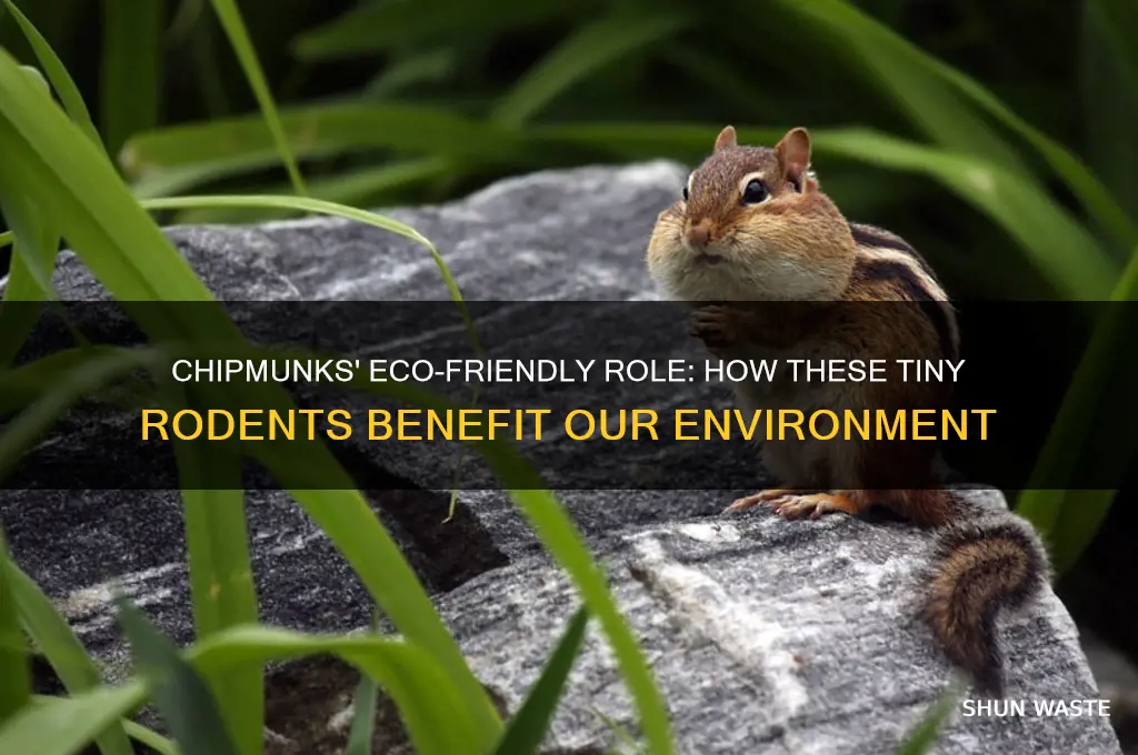how do chipmunks help the environment