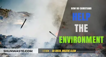 Stewards of Creation: How Christians Protect and Preserve Our Environment