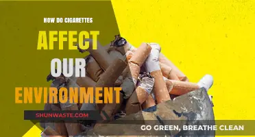 Cigarettes' Environmental Impact: Pollution, Waste, and Ecosystem Destruction Explained