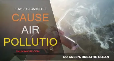 Unveiling the Hidden Impact: Cigarettes and the Air We Breathe