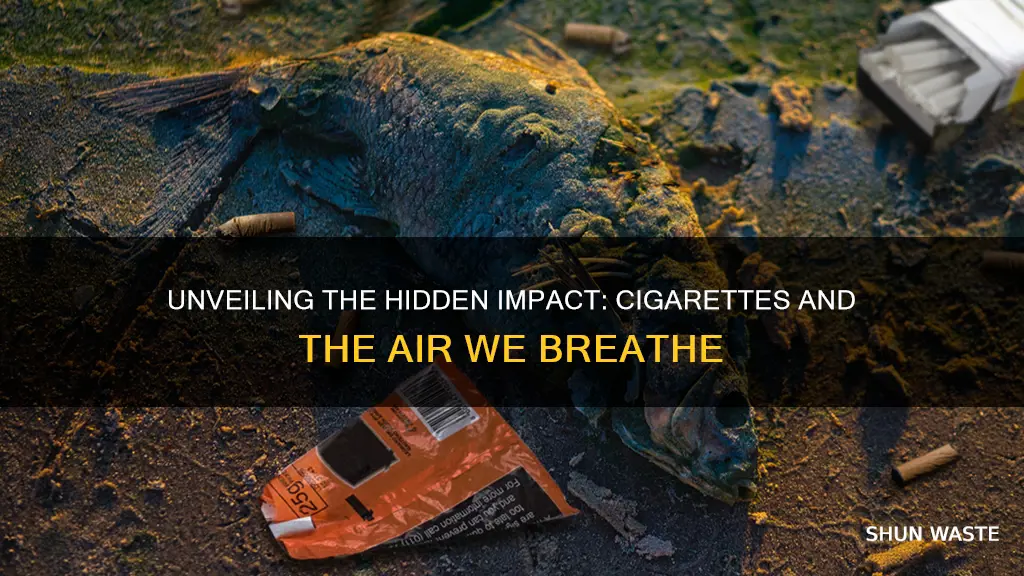 how do cigarettes cause air pollution