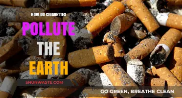 Cigarettes: Earth's Polluting Nightmare