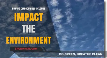 Cirrocumulus Clouds: Environmental Impacts and Atmospheric Influence Explained