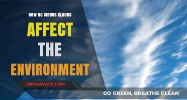 Cirrus Clouds' Environmental Impact: Climate, Weather, and Ecosystem Effects Explained