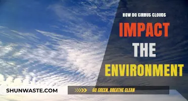 Cirrus Clouds' Environmental Impact: Climate, Weather, and Ecosystem Effects