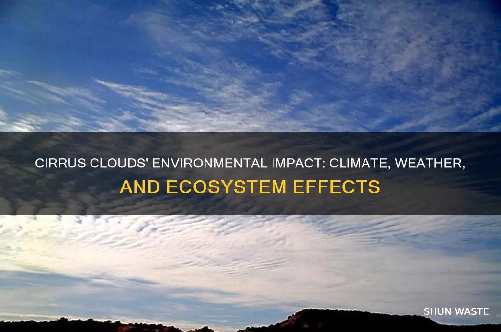 how do cirrus clouds impact the environment
