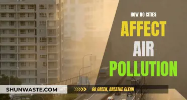 Urban Air Pollution: Impact and Solutions