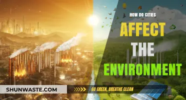Urban Impact: How Cities Shape and Challenge Our Environment