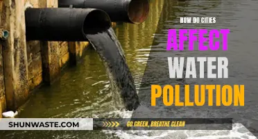 Urban Impact: Water Pollution's Unseen Culprit