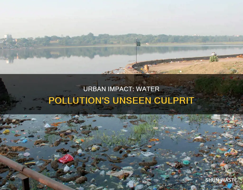 how do cities affect water pollution