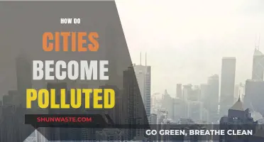 Urban Pollution: Understanding the Causes of Contaminated Cities
