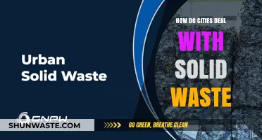 Urban Waste Management: Strategies Cities Use to Tackle Solid Waste