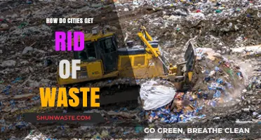 Urban Waste Management: Strategies Cities Use to Dispose of Trash