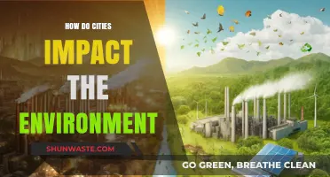 Urban Footprint: How Cities Shape and Strain Our Environment