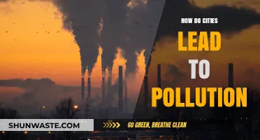 Urbanization's Dark Side: Pollution and Its Causes