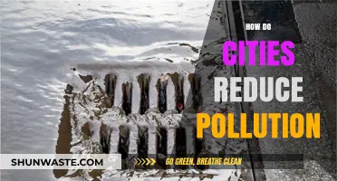 Green Urban Strategies: Reducing Pollution in Our Cities