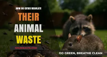 Urban Pet Waste Management: Strategies Cities Use to Keep Streets Clean