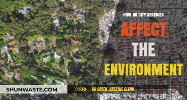 Urban Services Impact: Environmental Consequences of City Operations Explored