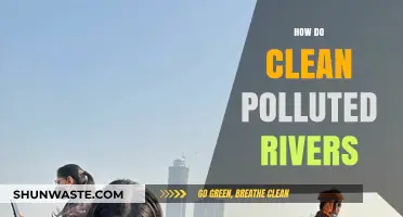 Cleaning Polluted Rivers: Strategies for Revitalization