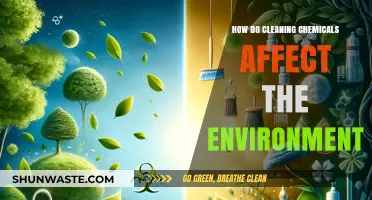 Cleaning Chemicals' Environmental Impact: Uncovering Hidden Ecological Consequences