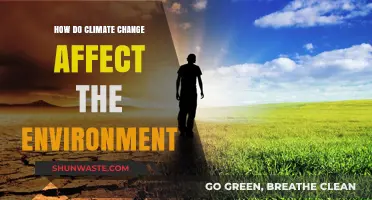 Climate Change's Devastating Impact on Our Environment: Causes and Consequences