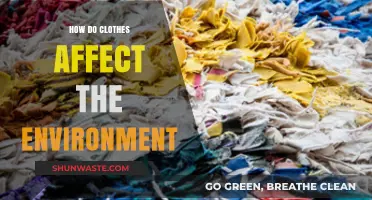 The Environmental Impact of Clothing: Sustainable Choices for a Greener Future