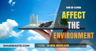 Clouds' Environmental Impact: Shaping Climate, Ecosystems, and Weather Patterns