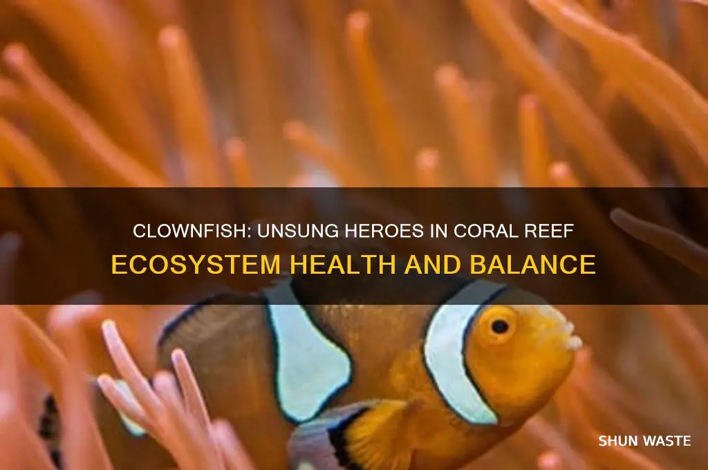 how do clownfish help the environment