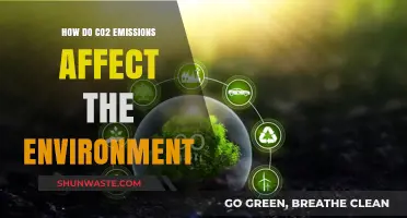 CO2 Emissions: Unraveling Their Devastating Impact on Our Environment