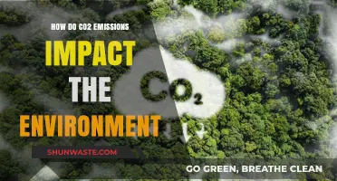 CO2 Emissions: Unraveling Their Devastating Environmental Consequences and Impact