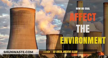 Coal's Environmental Impact: Pollution, Climate Change, and Ecosystem Destruction