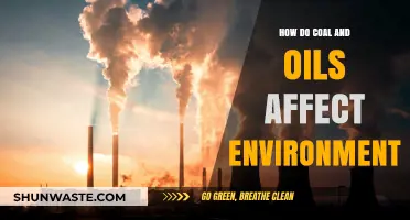 Coal and Oil's Environmental Impact: Pollution, Climate Change, and Ecosystem Destruction