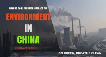 China's Coal Emissions: Environmental Impacts and Consequences