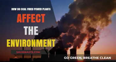 Coal Power's Environmental Impact: Pollution, Climate Change, and Ecosystem Destruction