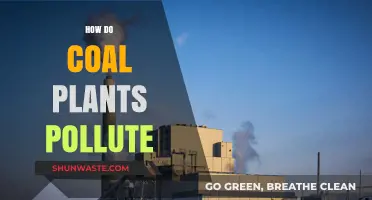 Coal Plants: A Major Source of Pollution
