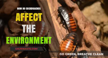 Cockroaches' Environmental Impact: Unseen Roles in Ecosystems and Human Spaces