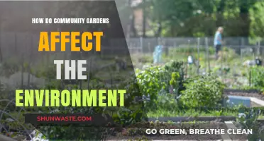 Community Gardens: Cultivating Greener Cities and Sustainable Ecosystems