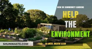 Community Gardens: Nurturing Biodiversity, Reducing Waste, and Greening Urban Spaces