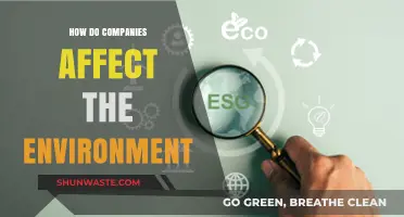 Corporate Environmental Impact: How Businesses Shape Our Planet's Future
